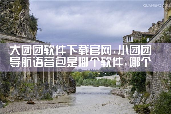 大团团软件下载官网