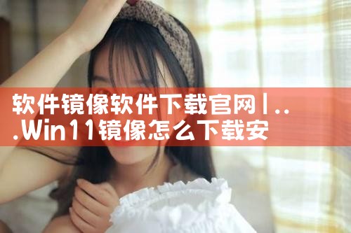 软件镜像软件下载官网