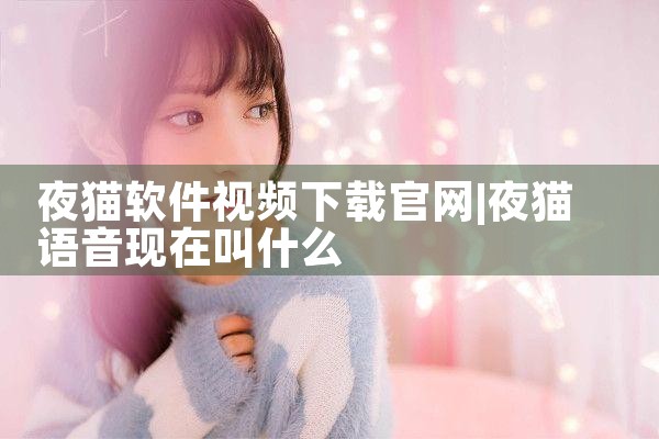 夜猫软件视频下载官网