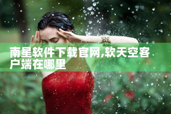 南星软件下载官网