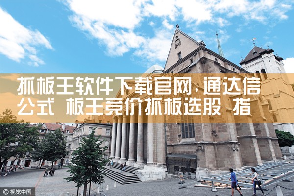 抓板王软件下载官网