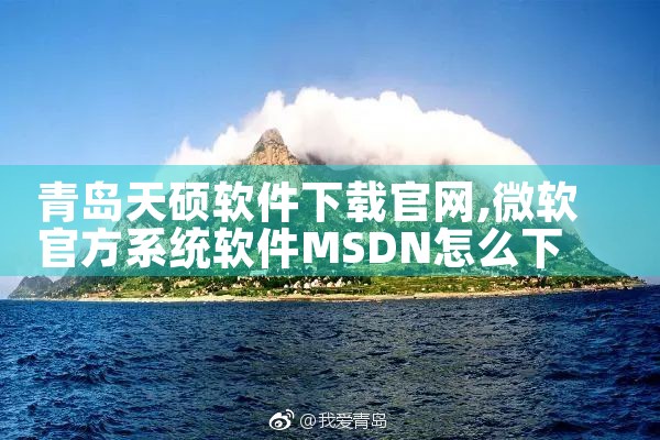 青岛天硕软件下载官网